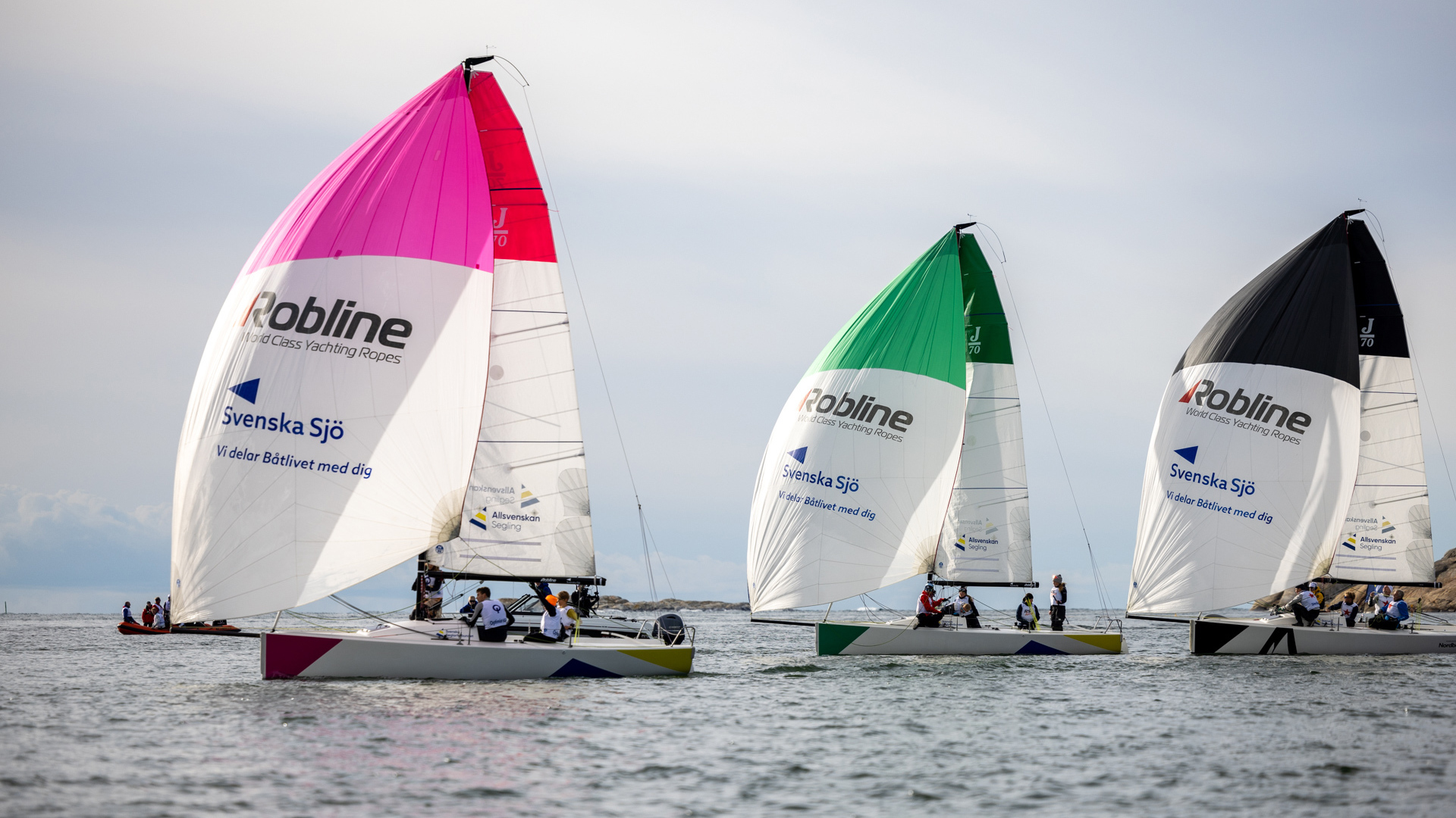 seglingens-mästare-seglingens mästare